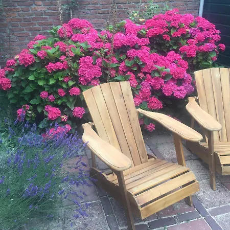 Het Zeepaartje, Knus En Gezellig Holiday home Noordwijkerhout