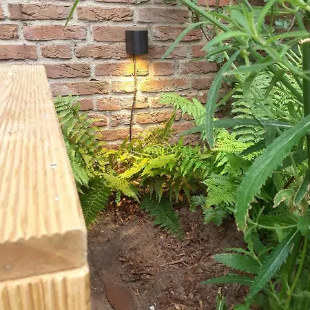 Het Zeepaartje, Knus En Gezellig נורדוויקרהוט