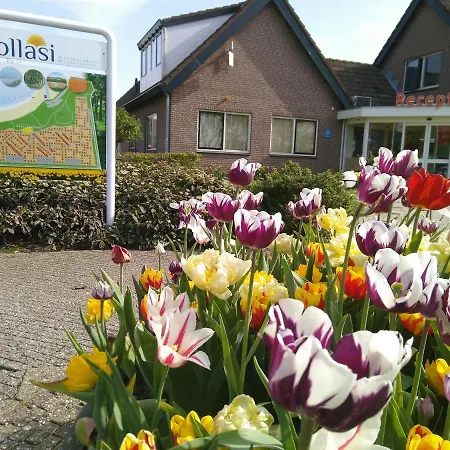 Het Zeepaartje, Knus En Gezellig Noordwijkerhout