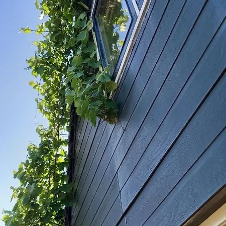 Het Zeepaartje, Knus En Gezellig Holiday home