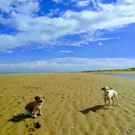 בית נופש Het Zeepaartje, Knus En Gezellig