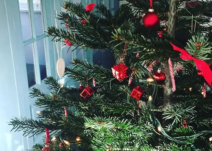 Casa vacanze Het Zeepaartje, Knus En Gezellig *