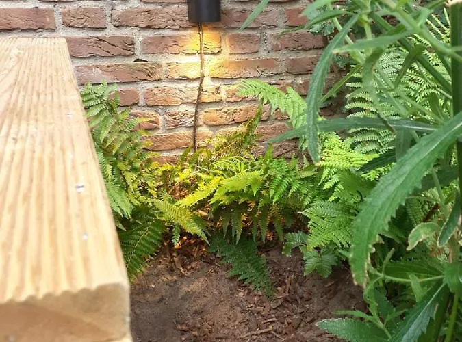 Het Zeepaartje, Knus En Gezellig Noordwijkerhout