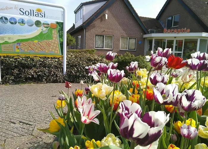 Het Zeepaartje, Knus En Gezellig Noordwijkerhout