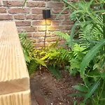 Het Zeepaartje, Knus En Gezellig Noordwijkerhout
