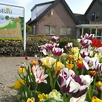 Het Zeepaartje, Knus En Gezellig Noordwijkerhout