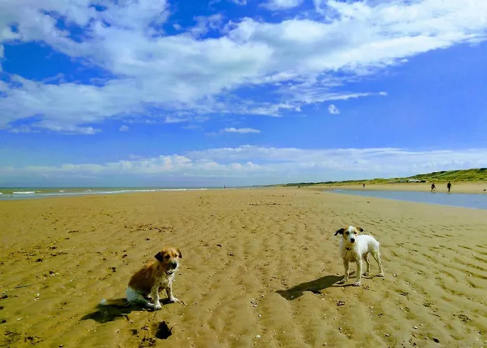 度假居 Het Zeepaartje, Knus En Gezellig